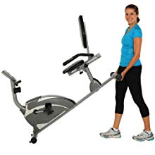 exerpeutic 900xl magnetic recumbent bike pulse